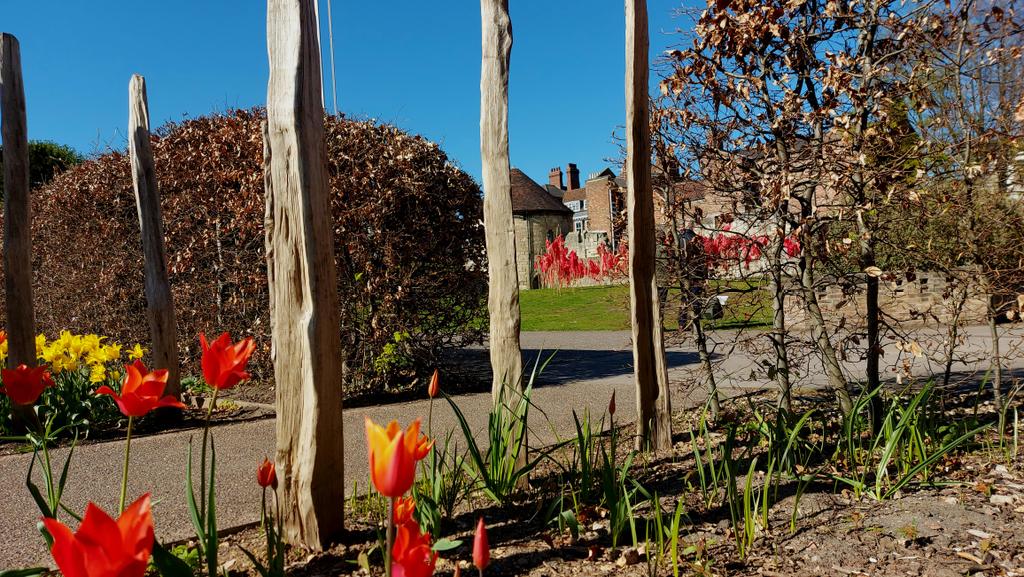 BeaLast's tweet photo. Revisited #York to continue the #creativeprocess. 200 more of the #handcrafted #TheRedBags installed at @YorkArtGallery in the @YorkshireMuseum gdns. Love how the installation is connecting with its surroundings @AestheticaMag #AestheticaArtPrize https://t.co/uF2hz3Ch6n