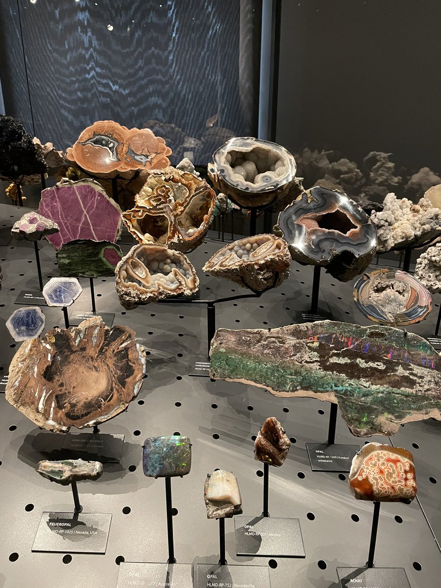 İdil (@idilaltintas) on Twitter photo 