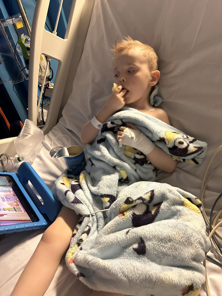 reann on Twitter "Teds slept for a long time had catheter taken out