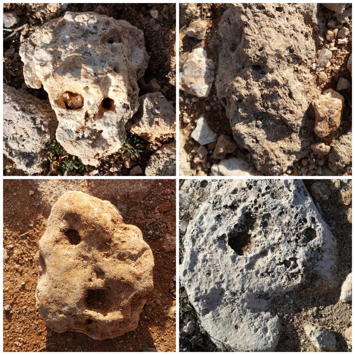 JJPartistic's tweet photo. 10 new StoneFaces dropped!
Total: 200 🥳 (of 555)
Price: 0.05Ξ (for the first 222)
On: @opensea
Perks: WIN 1 week of #vacation on #Menorca - ALL expenses paid!

➡️ https://t.co/86Wn4nVj2U

#nftphotography #pfpNFT #opensea #OpenSeaCollection #OpenSeaNTF #NFTProject #NFTdrop #NFT https://t.co/IYAm4Fe50o