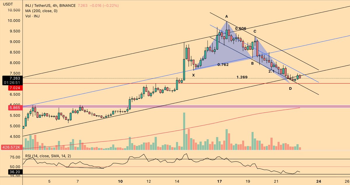 Doji 🧊 tweet media