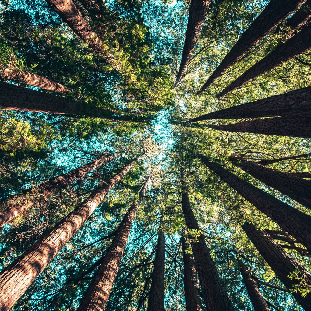 AblyApparel's tweet image. Happy #EarthDay! Let's take a moment to appreciate the beauty of our planet. From the mountains to the oceans, let's show our love and gratitude for Mother Nature by protecting and cherishing every inch of it. 🌍💚

📸 Casey Horner via Unsplash

#AblyApparel | #WhateverProof