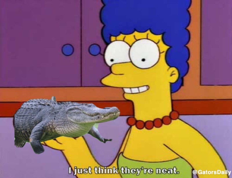GatorsDaily's tweet photo. https://t.co/Qz06P06omM