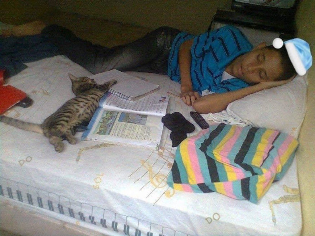 sergiorocaa's tweet photo. yo estudiando en mi cuarto https://t.co/ITupd5tay2