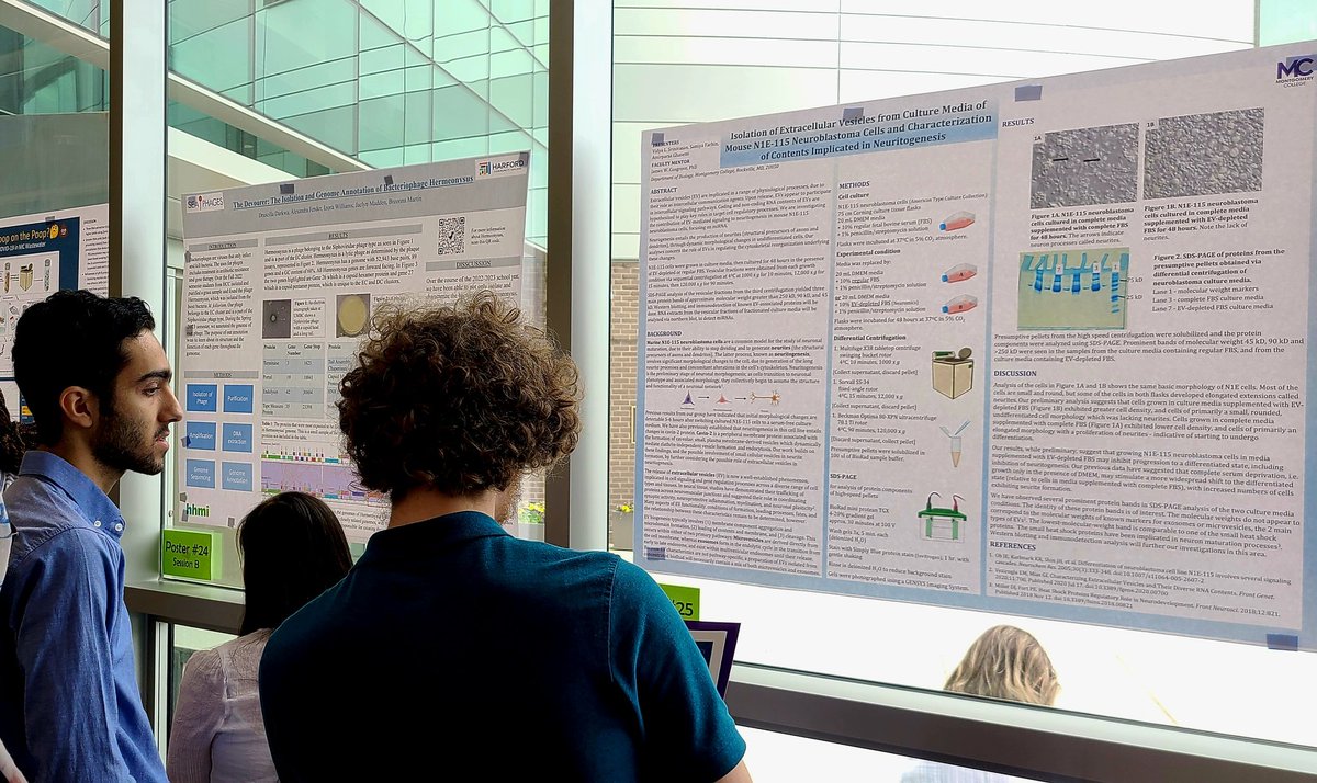 aubsta's tweet photo. @montgomerycoll students presenting their work at the 8th Maryland Collegiate STEM Conference @HowardCC 
#mcsc #mdccstem #mdcc #mdstem #mcsc2023 @DrWilliams_MC #undergraduatetesearch #COVID19 #crispr #CancerResearch https://t.co/vqeT1HdOtV