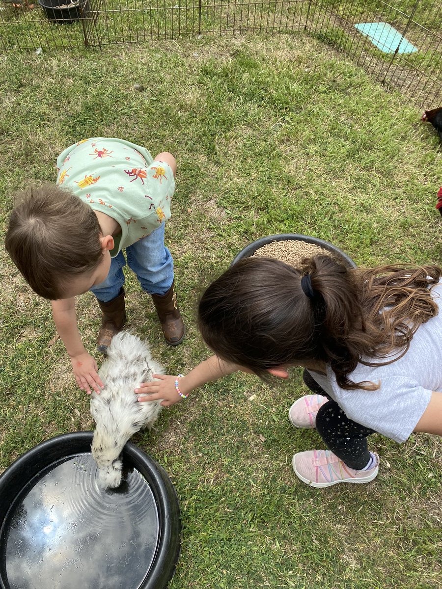 MrsSteeleLVE's tweet photo. We had an absolute blast at the @LaVillitaElem school carnival. Landon got to even hang out with some of my kindergartners! @CFBISD #cfbproud https://t.co/tpW75Nz7D6