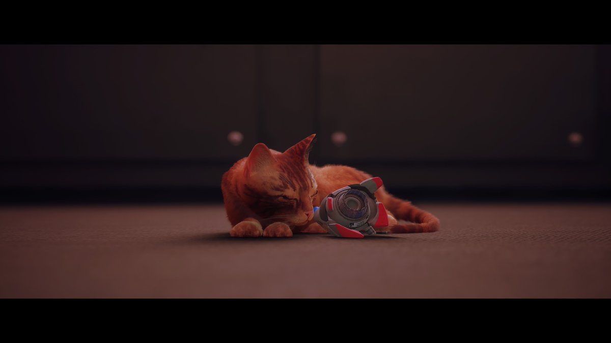 IftiOmi's tweet photo. #PS5Share, #Stray https://t.co/jw2ED1POJI