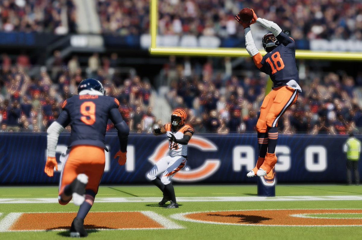 Fml_bears tweet media