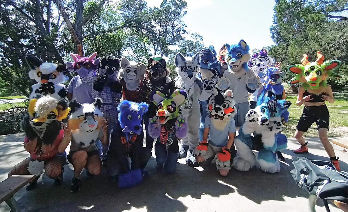 ApolloBlueWolf's tweet photo. Some more fluffy animals from last weekend https://t.co/tVoMCO6FZJ