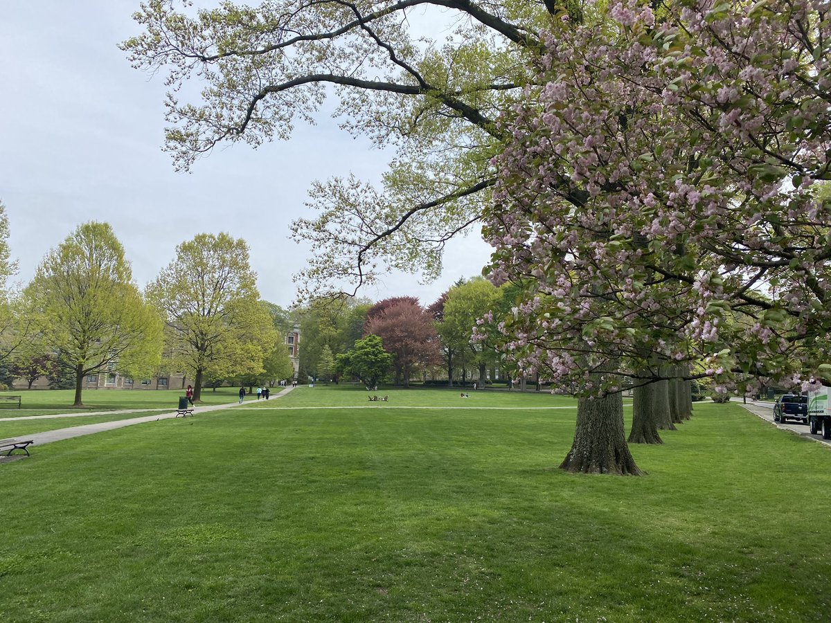 JoeBePositive's tweet image. When you think of The Bronx, you probably don’t picture this. Love visiting my grad school alma mater, @FordhamNYC , for Fordham Dance Marathon. Thanks for helping @BePositiveFdn fight #ChildhoodCancer.