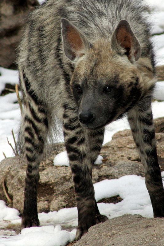 HourlyYeen's tweet photo. [🔗](https://t.co/X5jp9kWA3j) https://t.co/XNXfucX8LI
