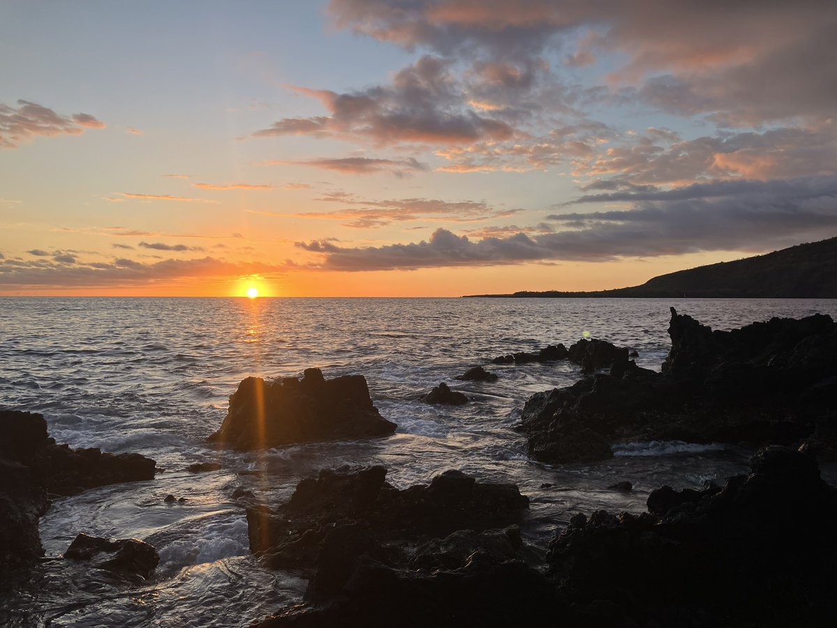 Awesome time in Hawaii with <a href="/HMQuertermous/">Haylee Quertermous</a> and <a href="/ProfGemmell/">Neil Gemmell</a>. Thank you <a href="/VsdHawaii/">VSD Hawaii</a> for a great meeting and really appreciate the travel award. Hoping to be back in 2026!