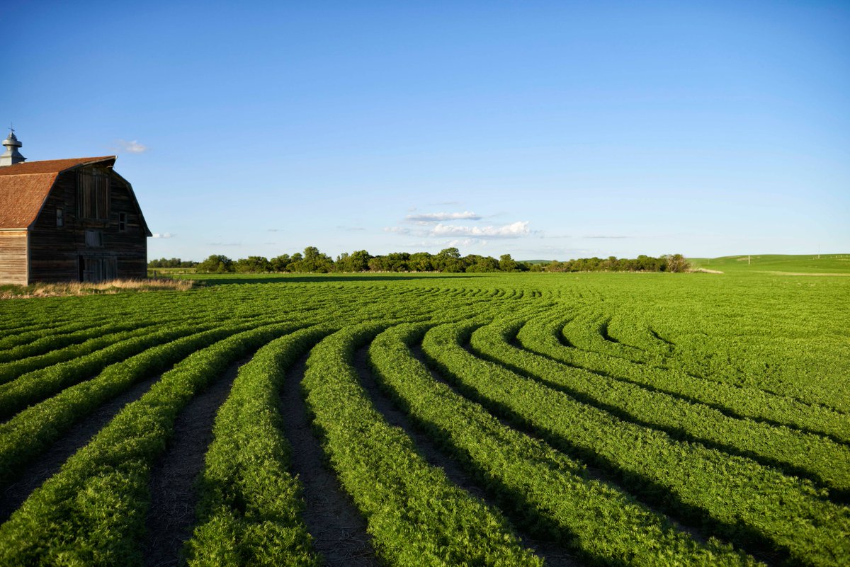 We’re inspired each day by the commitment of Canadian farmers to adopting new, sustainable practices and solutions to protect and conserve our land for generations to come. 🌾 Happy #EarthDay2023 💚 #InvestInOurPlanet #CdnAg