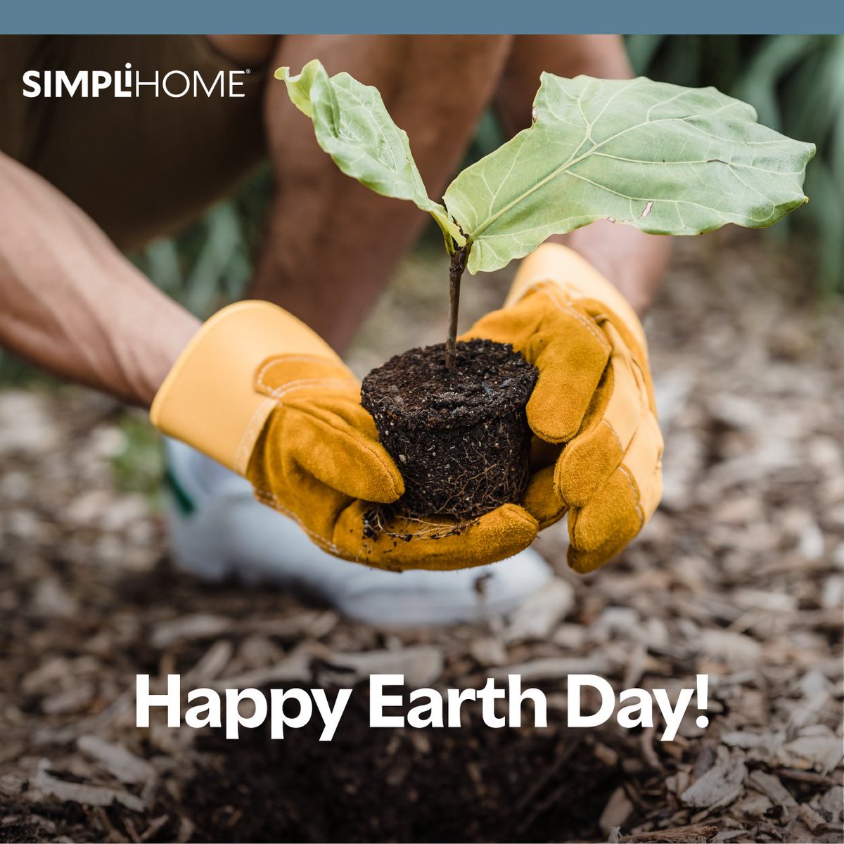 Simpli Home Furniture tweet media