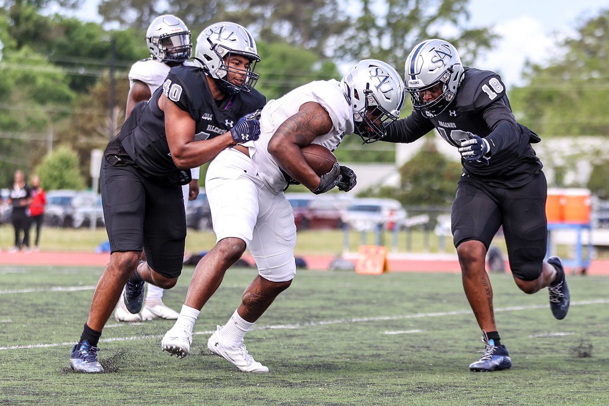 SAU Athletics tweet media