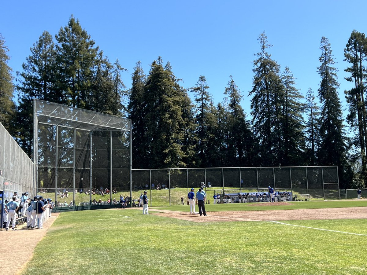 RIOPEREZ's tweet photo. Is this Heaven…?  
No, it’s Sonoma State!
Great day to be a Seawolf, Decision Day and Baseball! @SSU_1961 @SonomaSeawolves 
#NomaRising https://t.co/eQBPAbwqQI