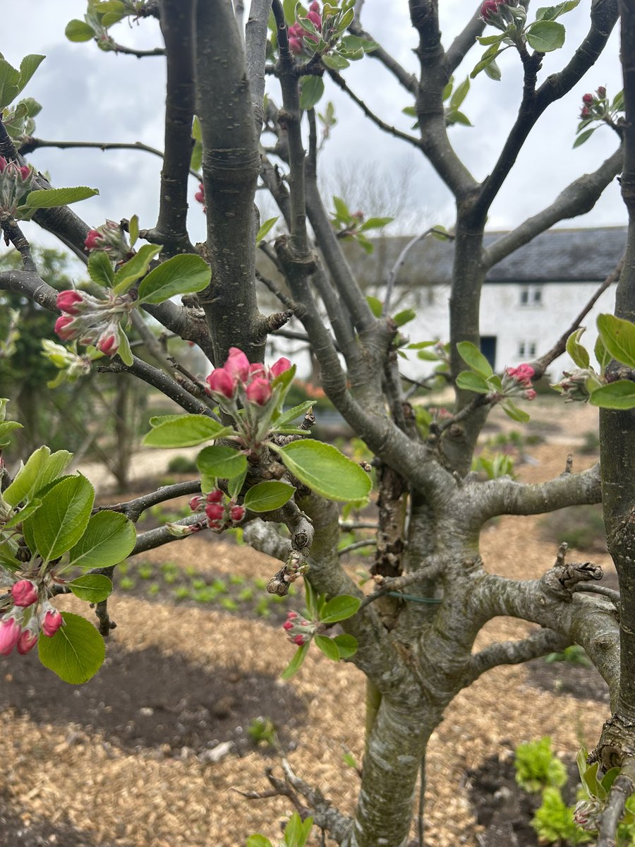 Lovely day at River Cottage.
<a href="/rivercottage/">River Cottage</a>