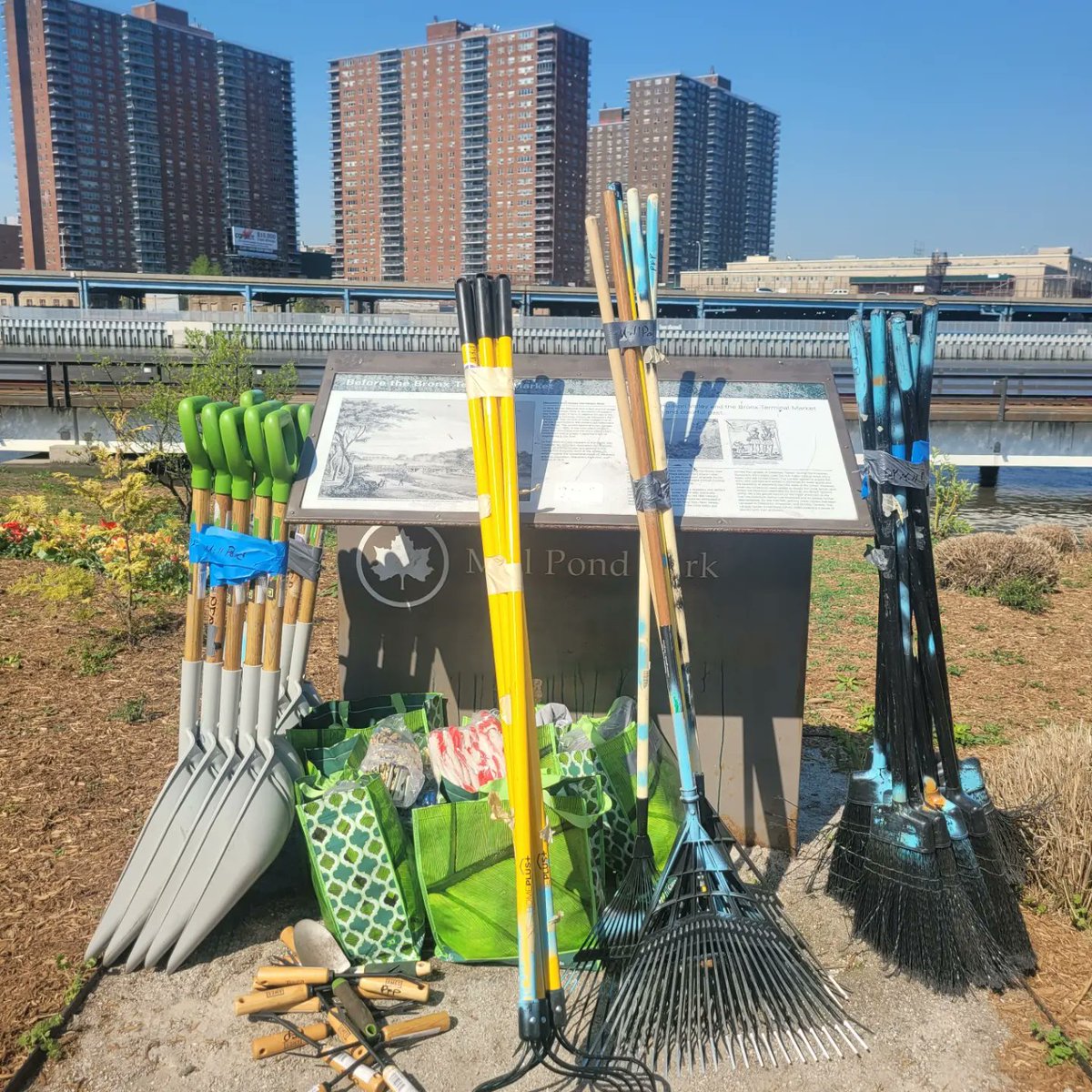 A huge thank you to the students of @sebnecmedia for coming out for the Friends of Mill Pond Park beautifcation &amp; clean-up. Your amazing <a href="/HarrietBurnet19/">Harriet Burnett</a> @partnershipsforparks IT'S A PARK DAY FOR EARTH DAY IN A BRONX WAY.
#Uptowntraveler 
#EarthDay
#MillPondPark