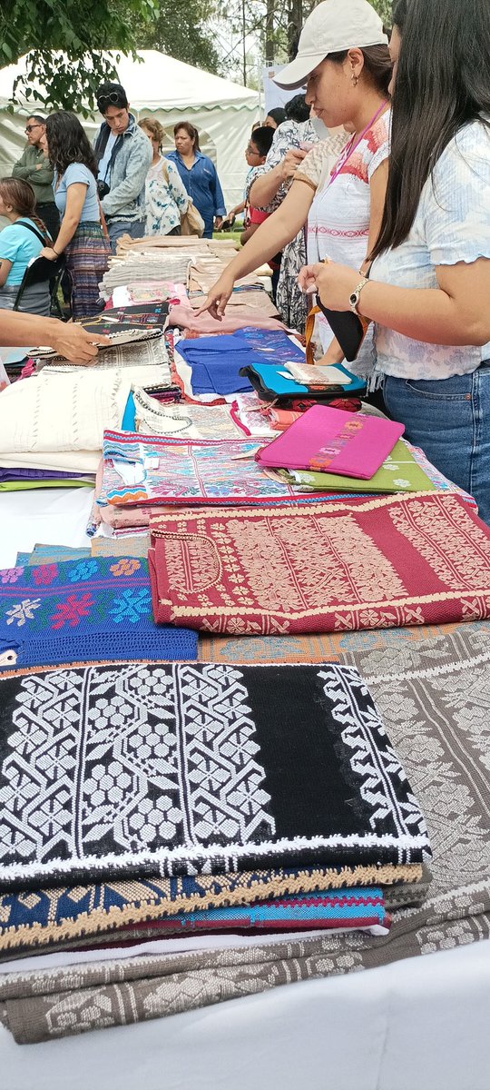 No es la cara más publicidad de la biodiversidad y ciertamente no es la más importante. Aun así es biodiversidad