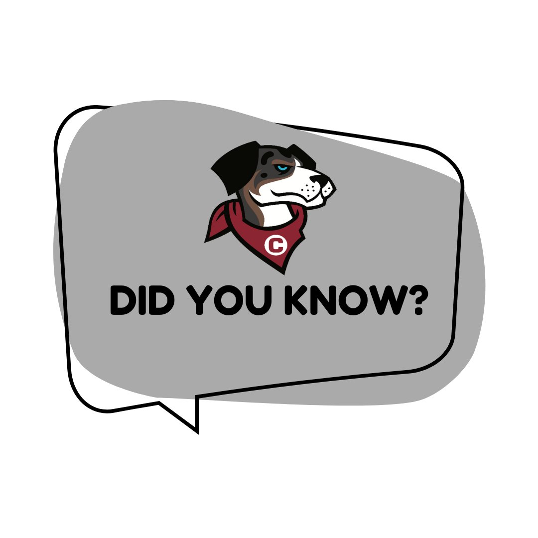 GoCentenary's tweet photo. Centenary Softball has scored in double figures five times this season and posted 10+ hits in a game 14 times and done so in seven of its last eight games. Centenary has won 8 of its last nine games! Go, Ladies! #GoCentenary #CTheOpportunity https://t.co/UG8dflb1wq