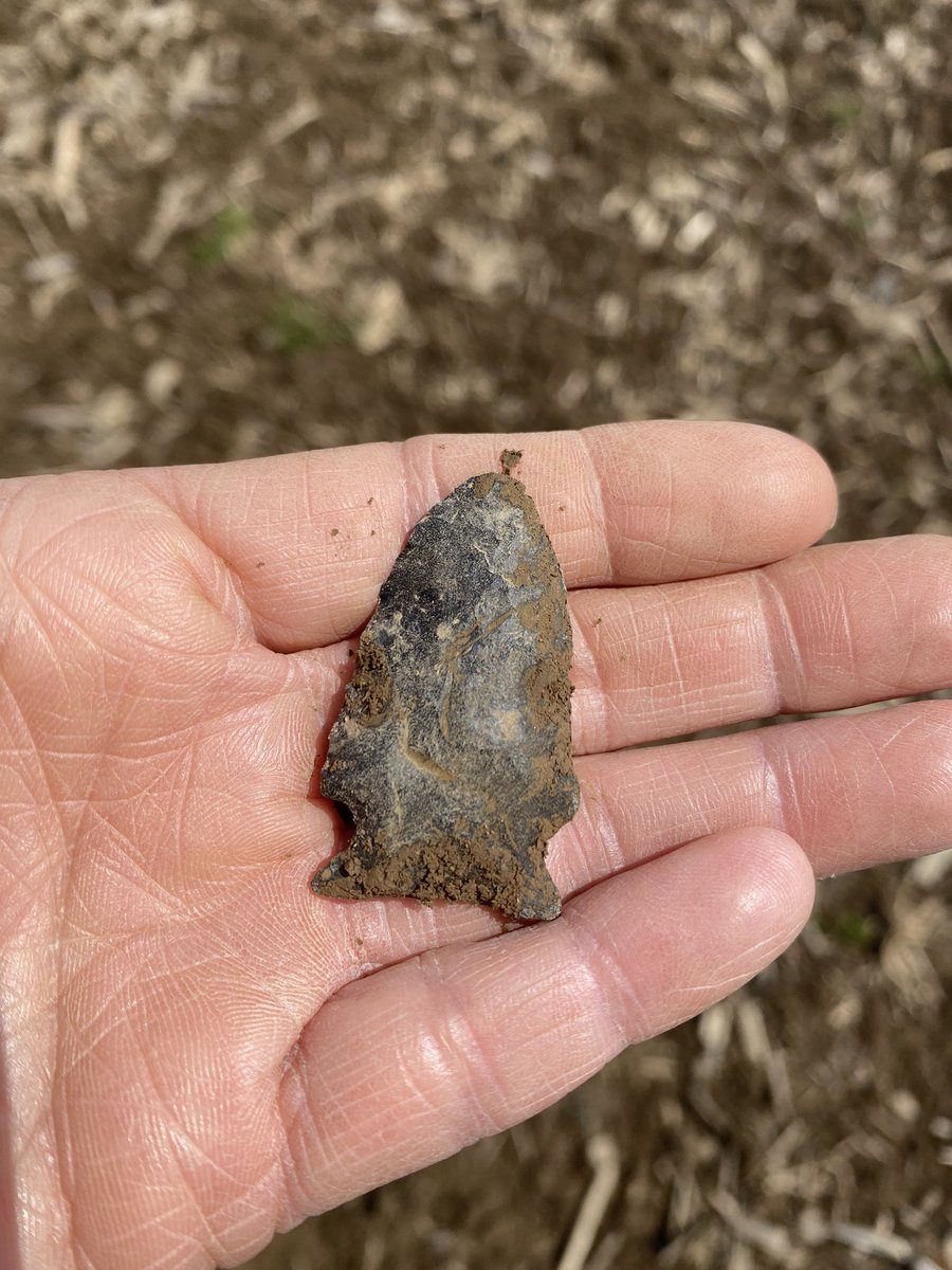 aTinaMichel's tweet image. Another great day of arrowhead hunting! MPB!! Five hours of walking!! #feethurt #arrowheads  #history