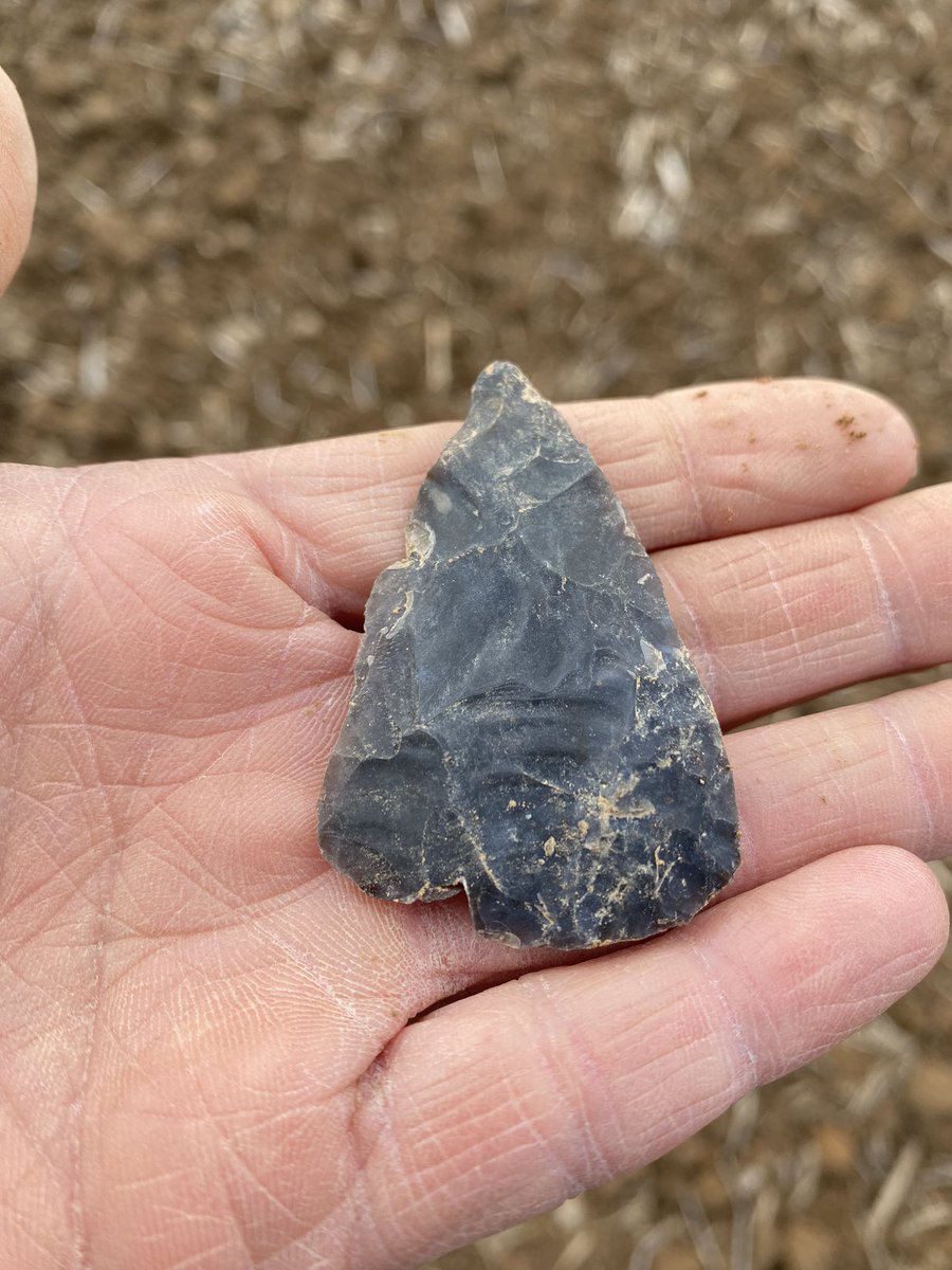 aTinaMichel's tweet image. Another great day of arrowhead hunting! MPB!! Five hours of walking!! #feethurt #arrowheads  #history