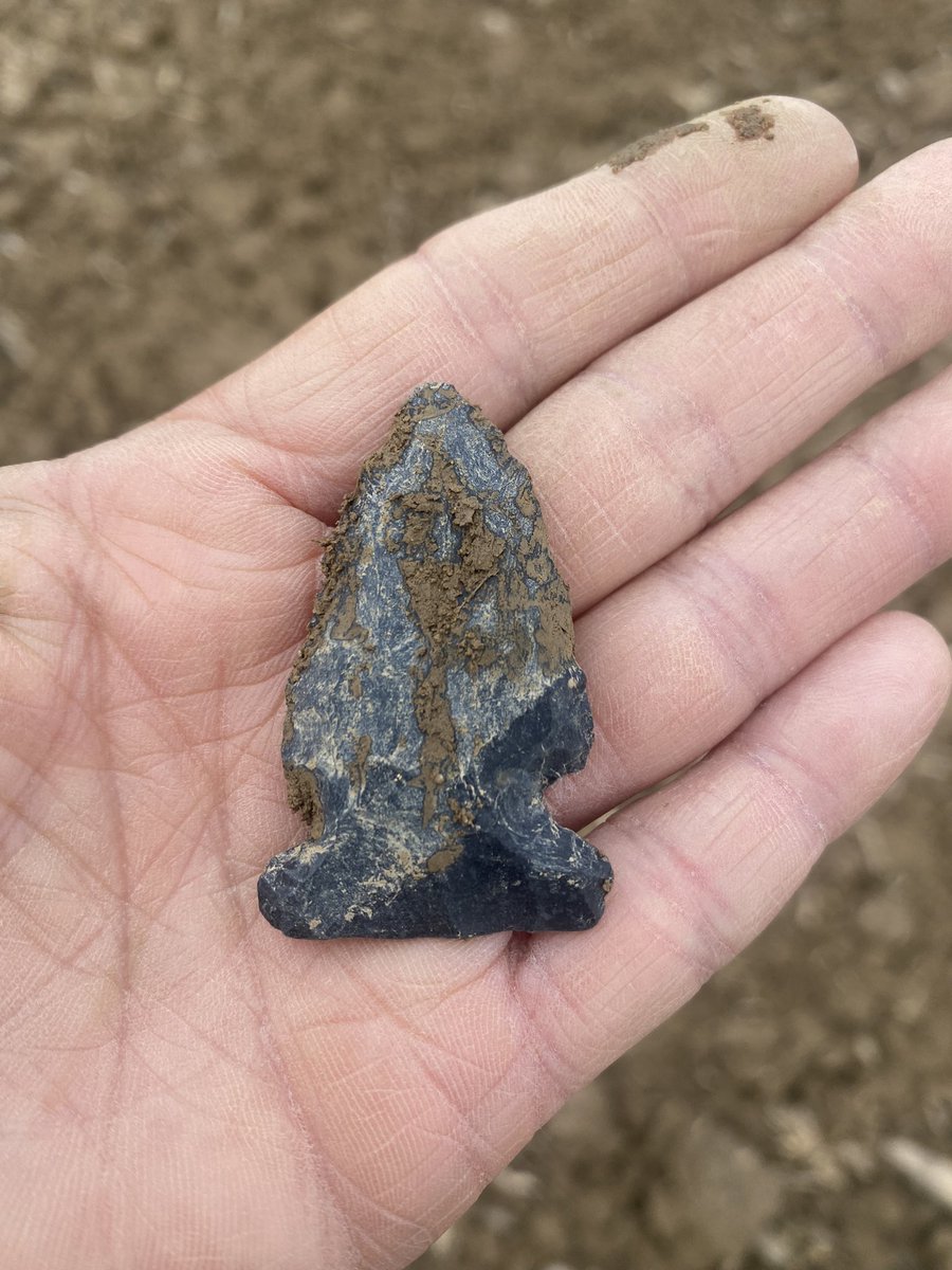 aTinaMichel's tweet image. Another great day of arrowhead hunting! MPB!! Five hours of walking!! #feethurt #arrowheads  #history