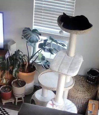 First time away since adopting the Rugrats. And yes I’m stalking them 🥲