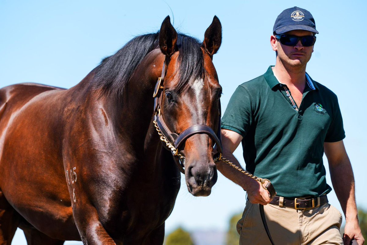 YulongInvest's tweet photo. ⚜ #AlabamaExpress has his father's looks!
The G1-winning son of Redoute’s Choice was leading first-season sire @inglis_sales Premier by average and top price, with a colt out of Ghadaayer (IRE) selling for $400k to @PMBRacing 👑
#aworldofopportunity https://t.co/FqGvj6d59r