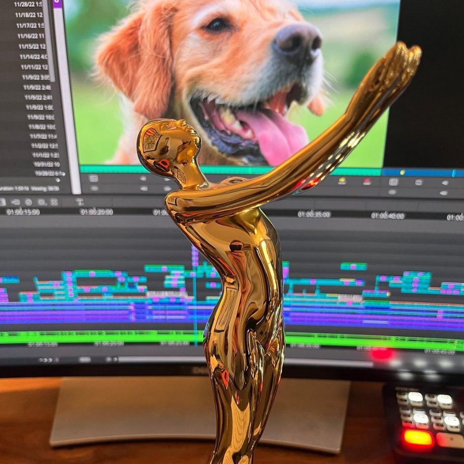 MediaComposer's tweet photo. 🏆 Matt Brady & team win Gold at the Promax Awards
📷 https://t.co/fAjHfKNRVM
▶️ https://t.co/f1sv8KvY1z
#flockedit #promaxawards #goldwinner #yorkshirevet #editing #mediacomposer #avid https://t.co/4vwJy9OCvz