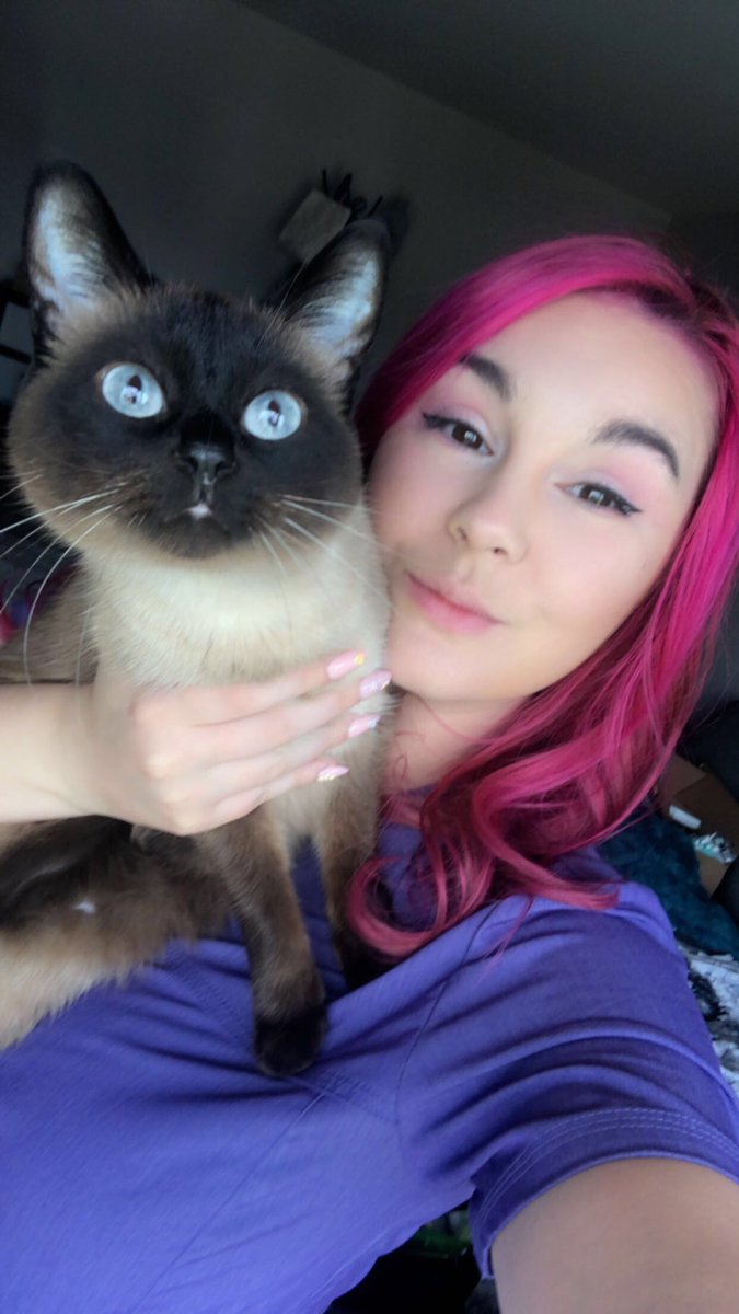 PukedKittens_'s tweet photo. hi! Come say hi and help raise money and awareness for pets with cancer 💓💕 https://t.co/Xuwv4niidW ⭐️ LIVE NOW https://t.co/P9Jukh9CW1
