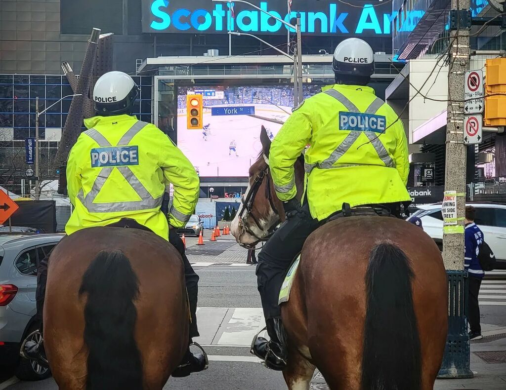 Front row seats..

<a href="/mapleleafs/">Toronto Maple Leafs</a> <a href="/scotiabankarena/">Scotiabank Arena</a> #toronto #the6ix #leafsnation #nhl #playoffs #torontopolice #mounted #horses instagr.am/p/CrW26p1pQvM/