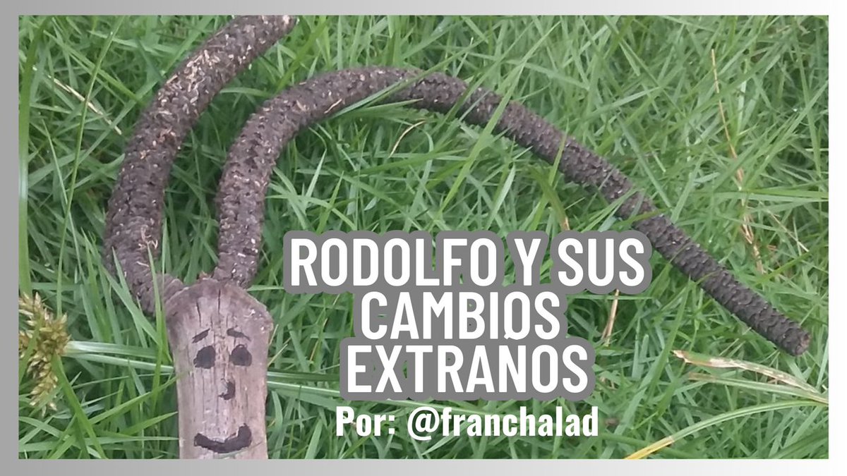 Franchalad's tweet photo. Haciendo un ejercicio de introspección, sentí la necesidad de hacer un relato diferente como entrada al Hispaliterario 20, centrándome más en la empatía de un personaje inanimado ⬇️ #Hive #Posh #LiteraturePosts

https://t.co/sLJRkdu1fG https://t.co/TFdGox9goh