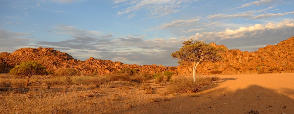 In our efforts to improve the conservation status of #cheetah and reverse declines in their wild populations in the African countries where they exist, we have the opportunity to work in some of the planet's most amazing and awe-inspiring landscapes. Happy #EarthDay2023 ! 🌍