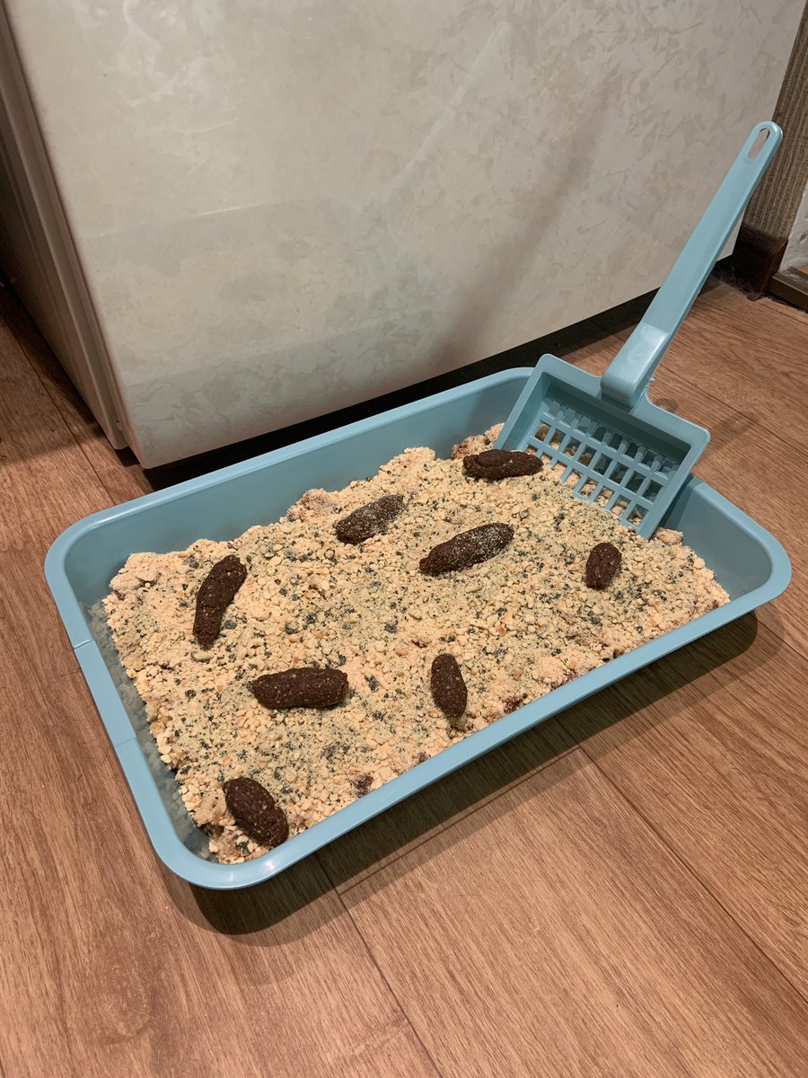 Alex Amazing on Twitter "Made this litter box cake for my cat’s