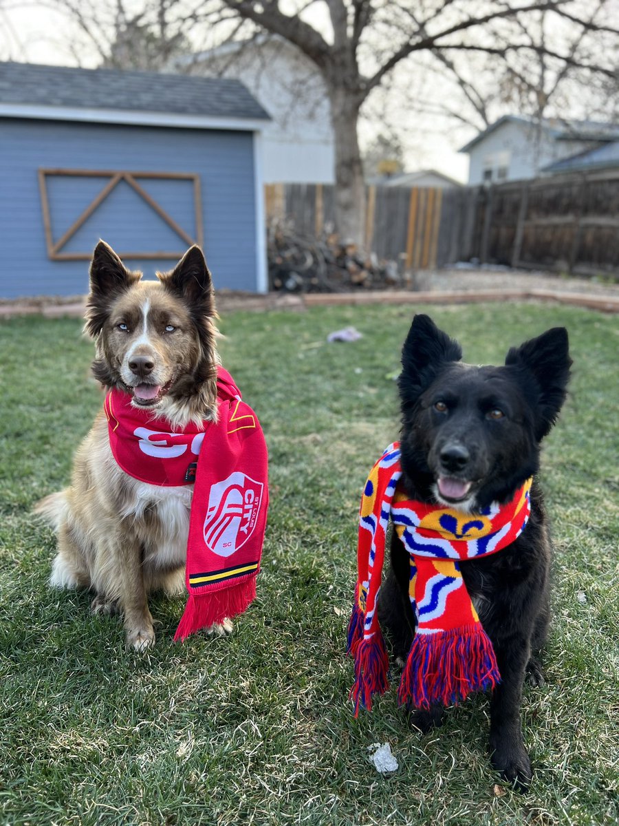 sammasterson22's tweet photo. #AllForCITY 

Supporting in Colorado tonight! @stlCITYsc @Purina https://t.co/vizPa07zaj