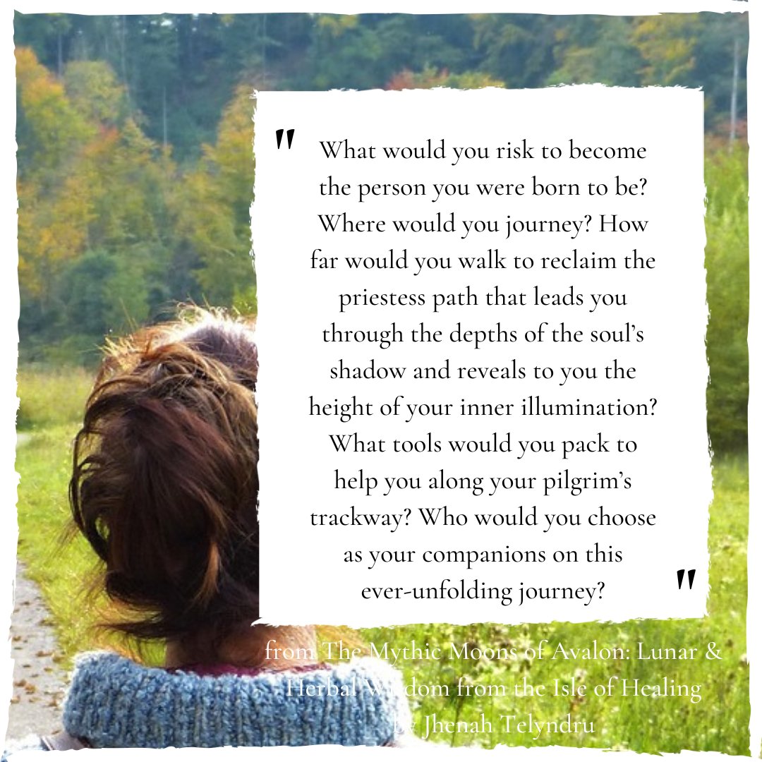 SisterhoodofAva's tweet photo. "What would you risk to become the person you were born to be? Where would you journey?..."
- from The Mythic Moons of Avalon: Lunar &amp; Herbal Wisdom from the Isle of Healing by @YnysAfallon

#avaloniantradition #celtic #womensmysteries #avalon #pagan #priestesspath #mythicmoons https://t.co/LvFNankW92