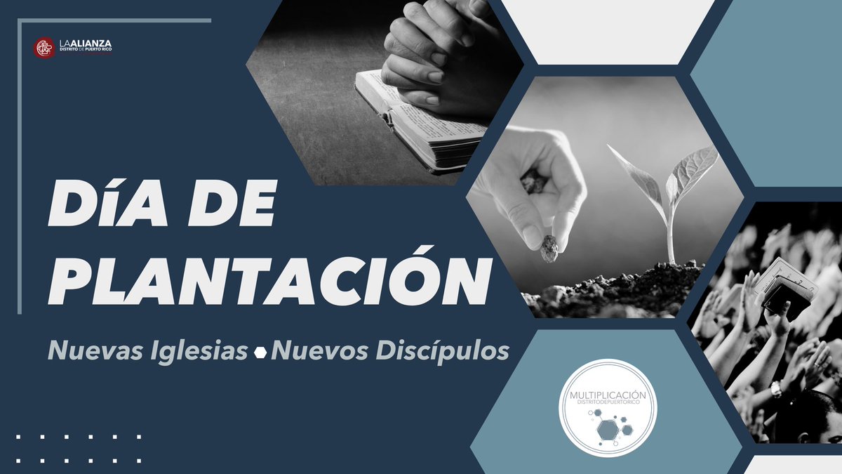 La Alianza de Camuy le invita a su Servicio de Adoración celebrando el Día de Plantación de Iglesias en Puerto Rico bajo el lema; “Tierra Fértil”, desde las 10:00am. También transmitiremos por nuestros plataformas digitales.