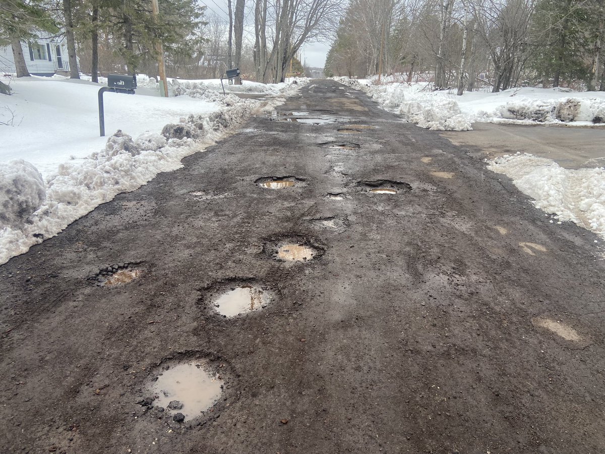 B.D. Kolquist tweet media