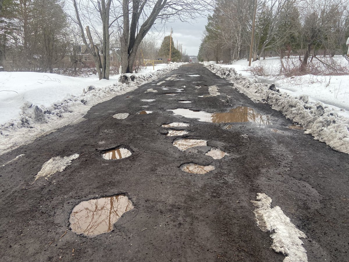 B.D. Kolquist tweet media