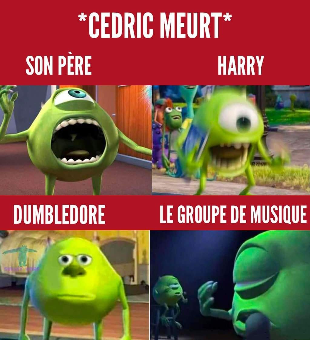 HPotter_France's tweet photo. La mort de Cédric Diggory. https://t.co/CFozdBQY8H