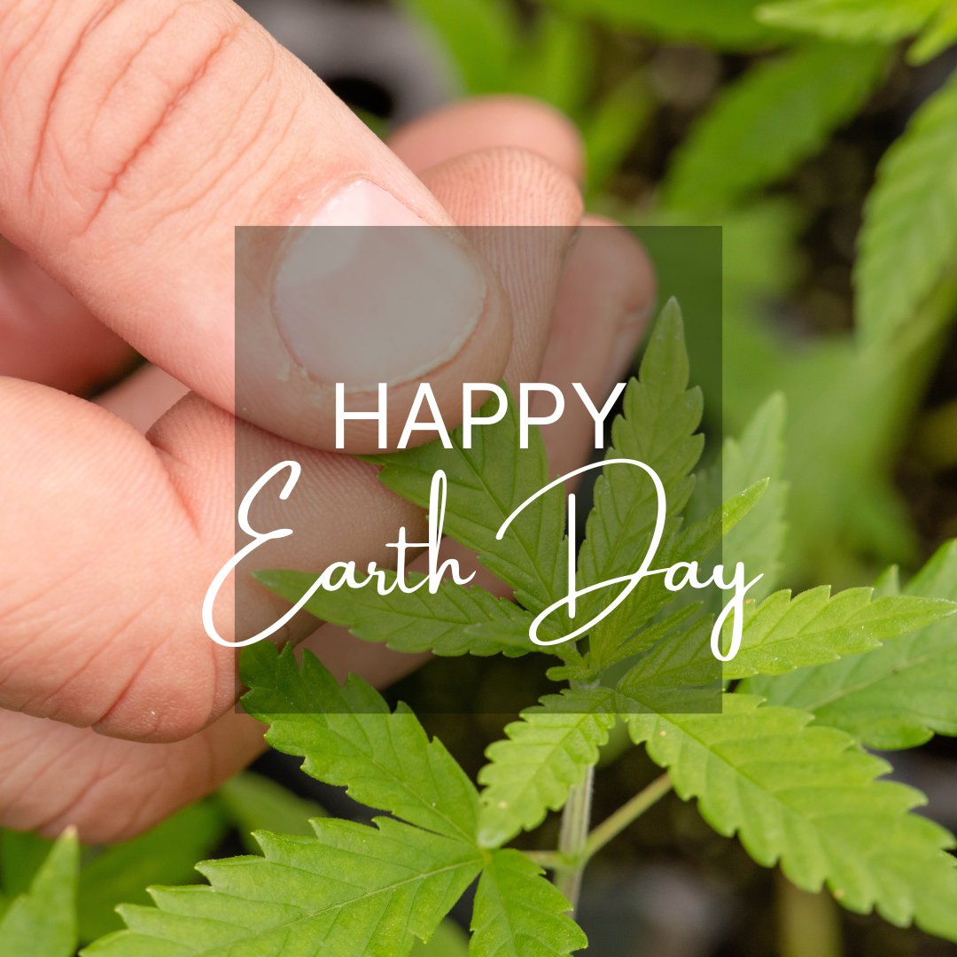 satividol's tweet photo. Did you know?
Hemp is resilient and naturally immune to insects, fungi, and disease. Therefore, the plant doesn't require harsh pesticides or chemicals during its growing process. Know your source.
#earthday #hemp #EarthDay2023 #satividol #CBD #knowyoursource #education https://t.co/pSYvNyEDEM