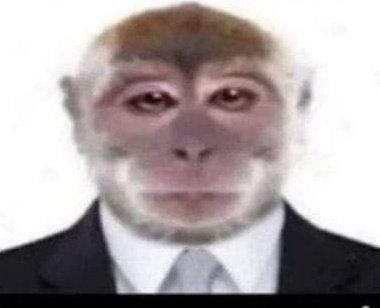 the Janz tweet media