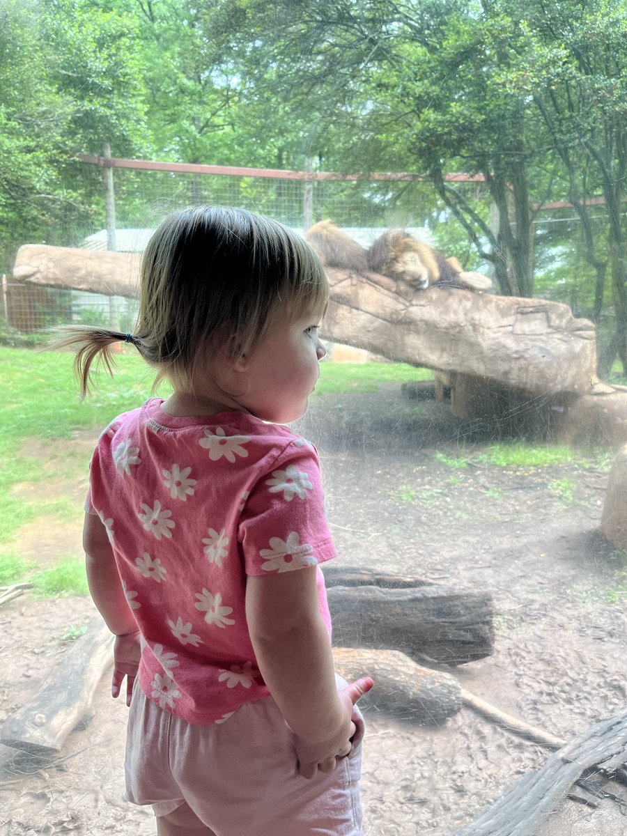 Corey Struss (@coreystruss) on Twitter photo Been a minute since I had time to post, but a rare Spring Saturday breather was needed. <a href="/greenvillezoo/">Greenville Zoo</a> was great!
Back to it - biggest work week of the year! #CruOn2 Been a minute since I had time to post, but a rare Spring Saturday breather was needed. <a href="/greenvillezoo/">Greenville Zoo</a> was great!
Back to it - biggest work week of the year! #CruOn2