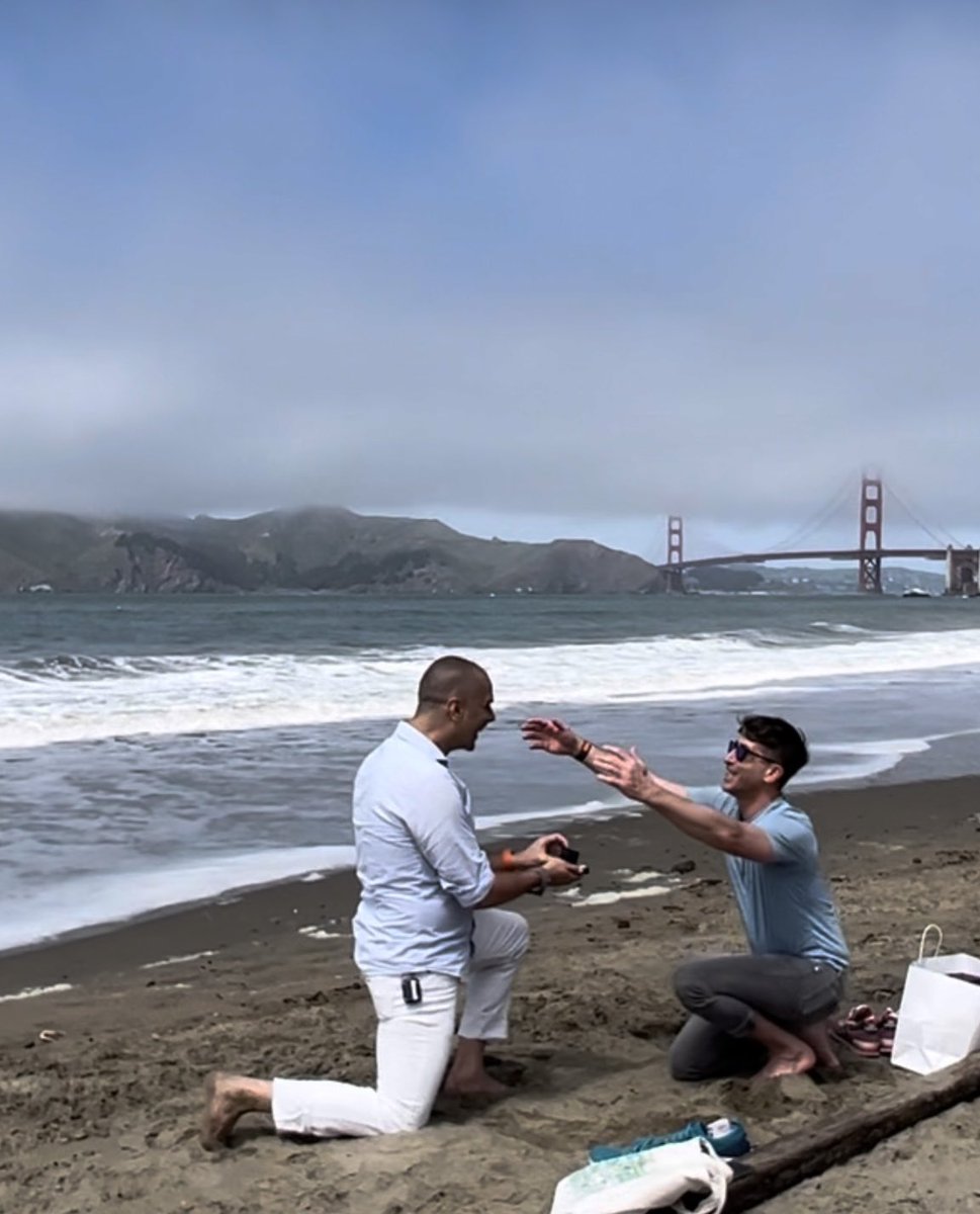 Lulu NYT tweet media