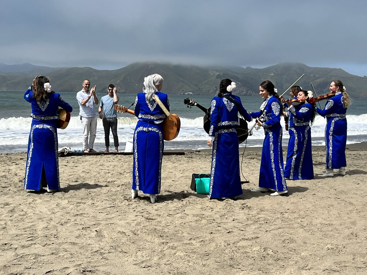 Lulu NYT tweet media