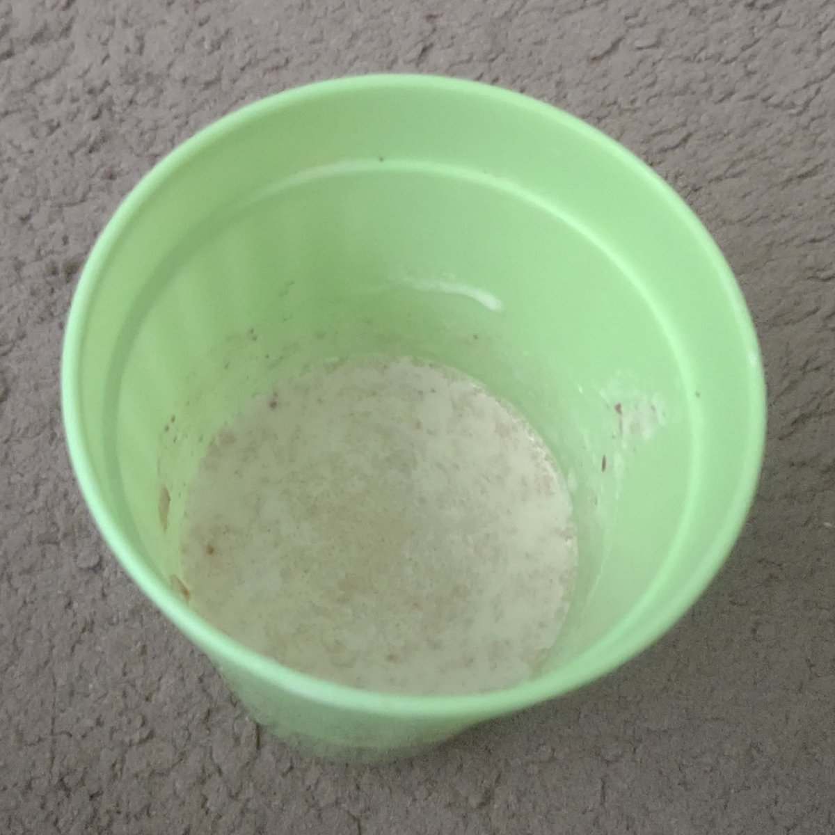 Junerzed's tweet photo. I made a smoothie that tastes like Hunny Bunches cereal 😋

I'd be happy to share what is the ingredients 3 or 4 likes and I'll show you how I made it https://t.co/YptRrYwwmv