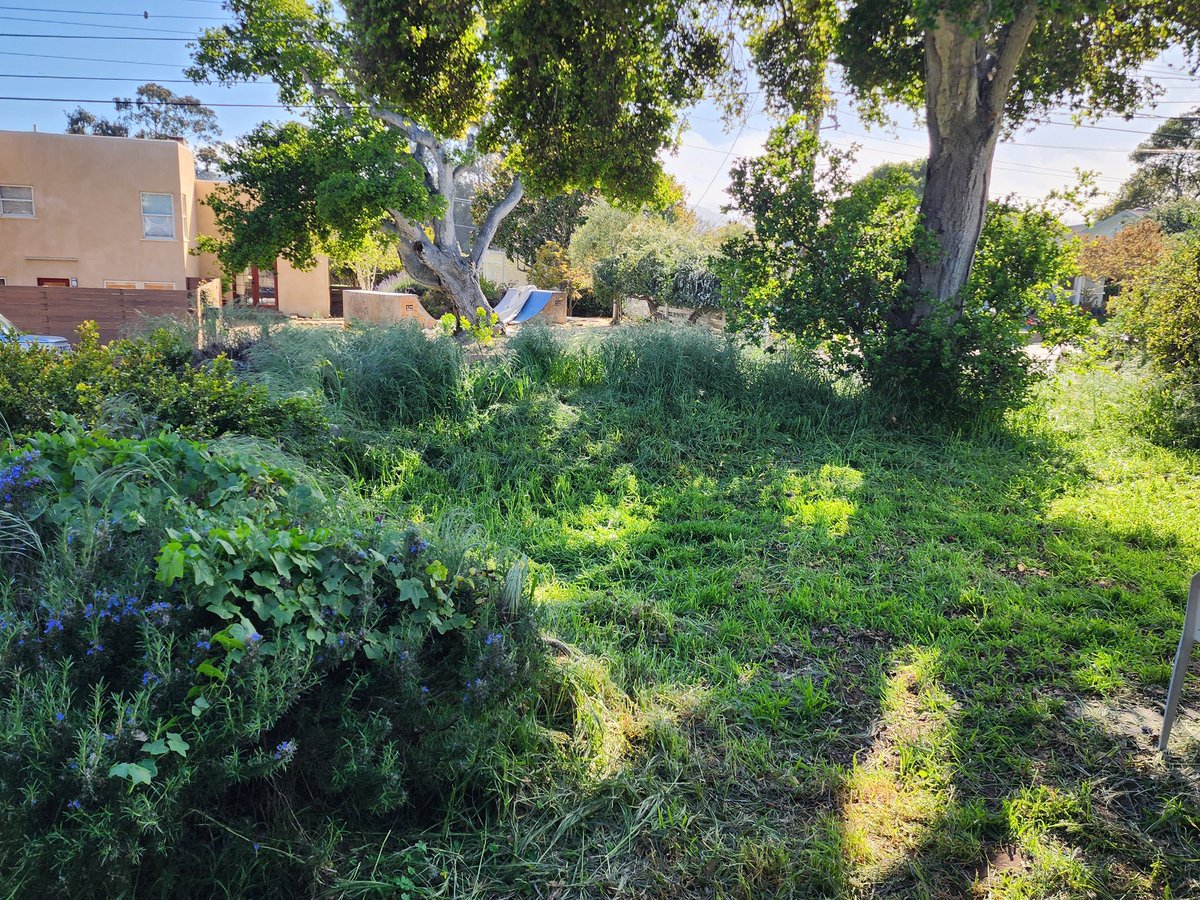 shannonhilson's tweet photo. Little bit of yardwork today with @SethMetoyer. (It's been too rainy to consider it up until recently.) He showed me how to use the weed eater. 🌿

#SpringHasSprung #ProductiveWeekends #SimplePleasures #SimpleLife https://t.co/smpJechVeb