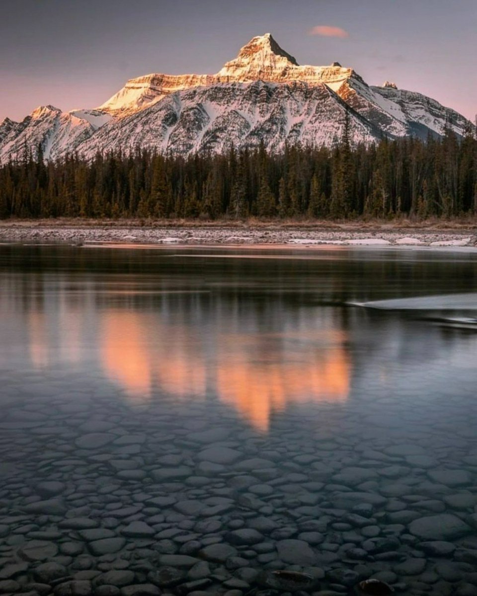 Happy Earth Day, Jasper! 🌎Your beauty inspires us every day.

Visitors from all over the world venture to Jasper National Park to walk through its forests, paddle its crystalline lakes, see wildlife and enjoy starry skies.

Photo by: <a href="/danschyk/">Dan the Man</a> 
#MyJasper #VentureBeyond