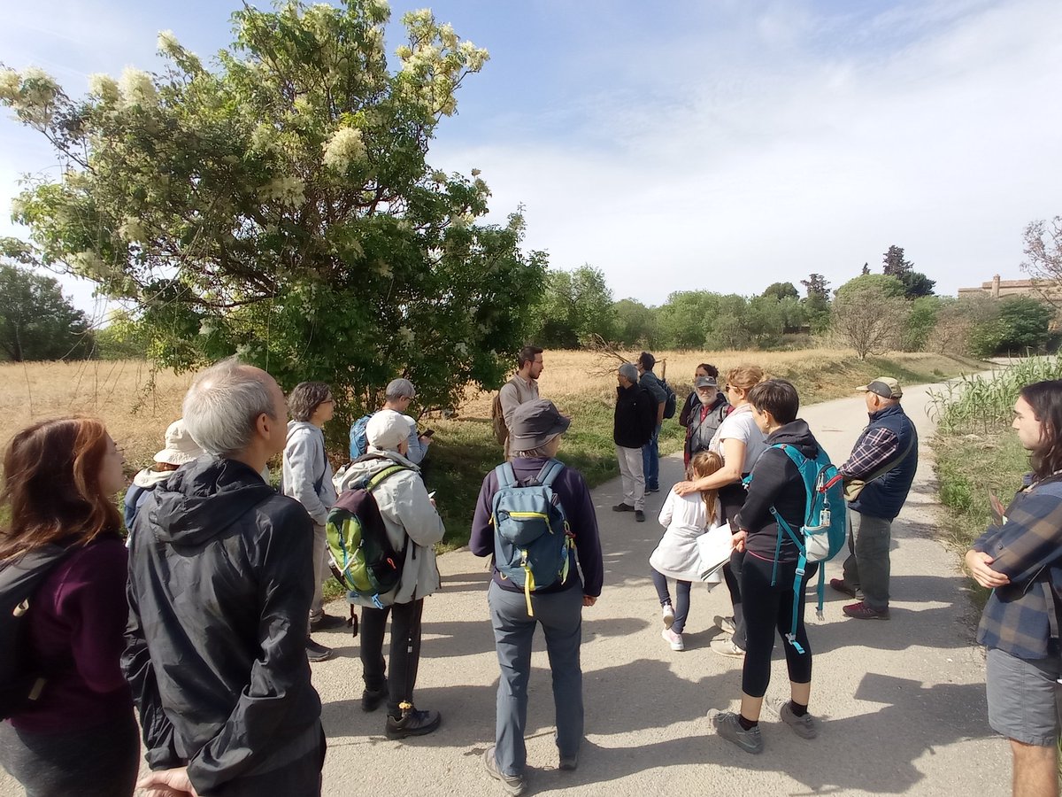 Tu ets entorns Terrassa! tweet media